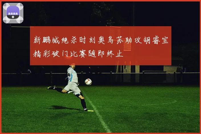 新鹏城绝杀时刻奥乌苏助攻胡睿宝精彩破门比赛随即终止